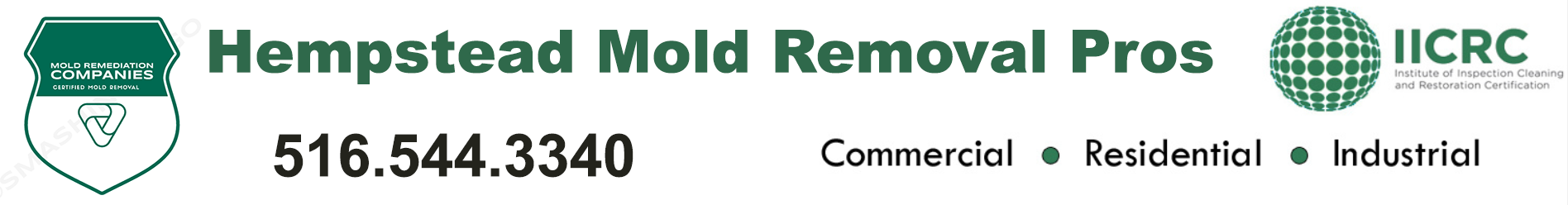 Hempstead Mold Removal Pros
