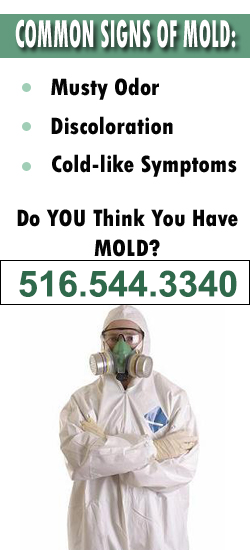 Hempstead Mold Remediation Contractor